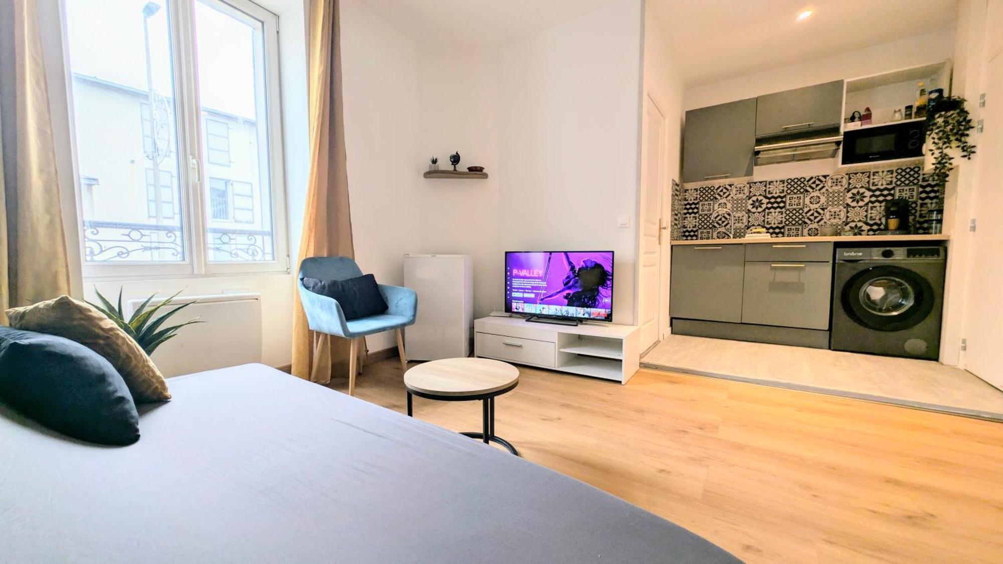 Grey Centre Apartment Auxerre